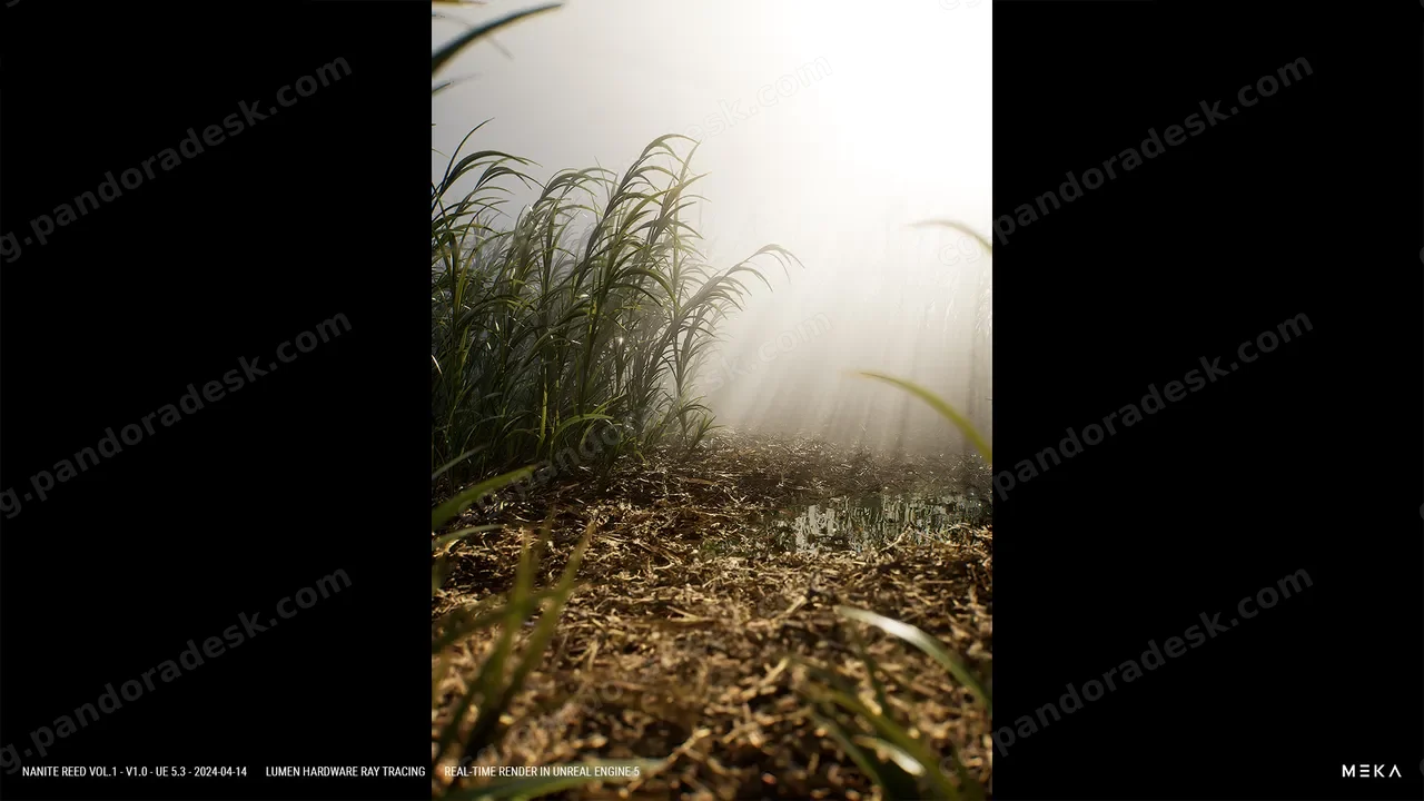 芦苇植物模型 - Nanite Reed Vol.1
