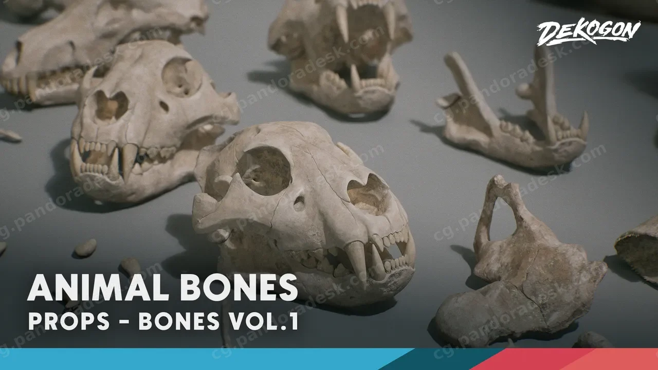 《骨骼 第一卷 - 动物骨骼》Bones VOL.1 - Animal Bones 1 (Nanite + Low Poly)
