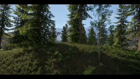 真实的森林 - Realistic Forest Pack