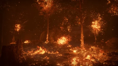 森林山火-Forest Fire