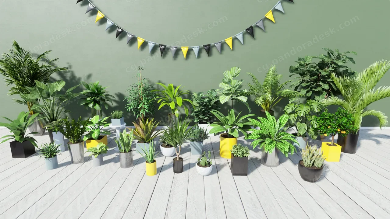 热带室内植物 Tropical House Plants