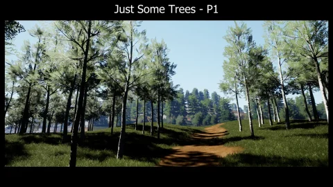 21棵独特树木 - Just Some Trees - P1