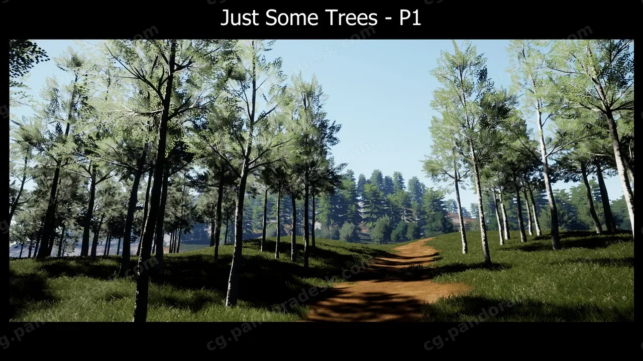 21棵独特树木 - Just Some Trees - P1