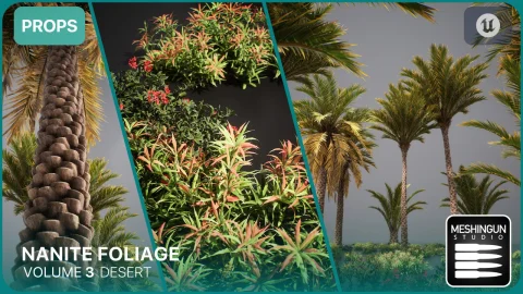 Nanite沙漠生物群落植物 Nanite Foliage Vol3 Desert