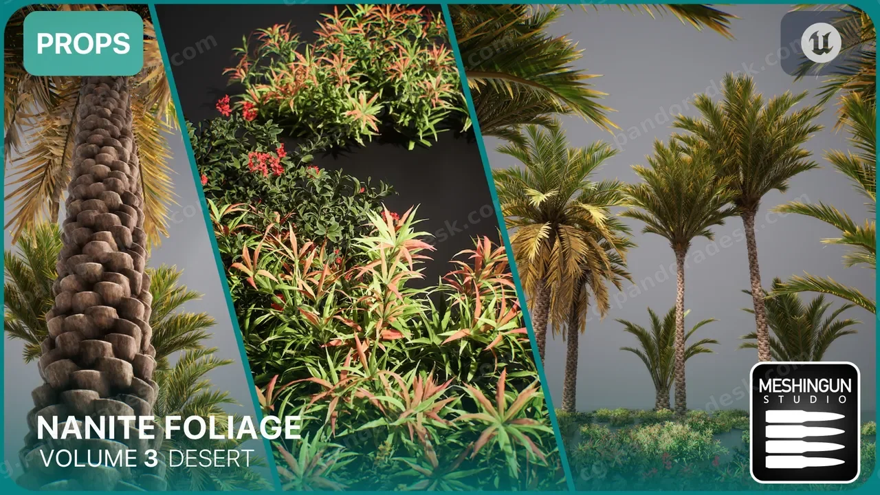 Nanite沙漠生物群落植物 Nanite Foliage Vol3 Desert