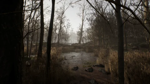 枯木森林-Procedural Forest