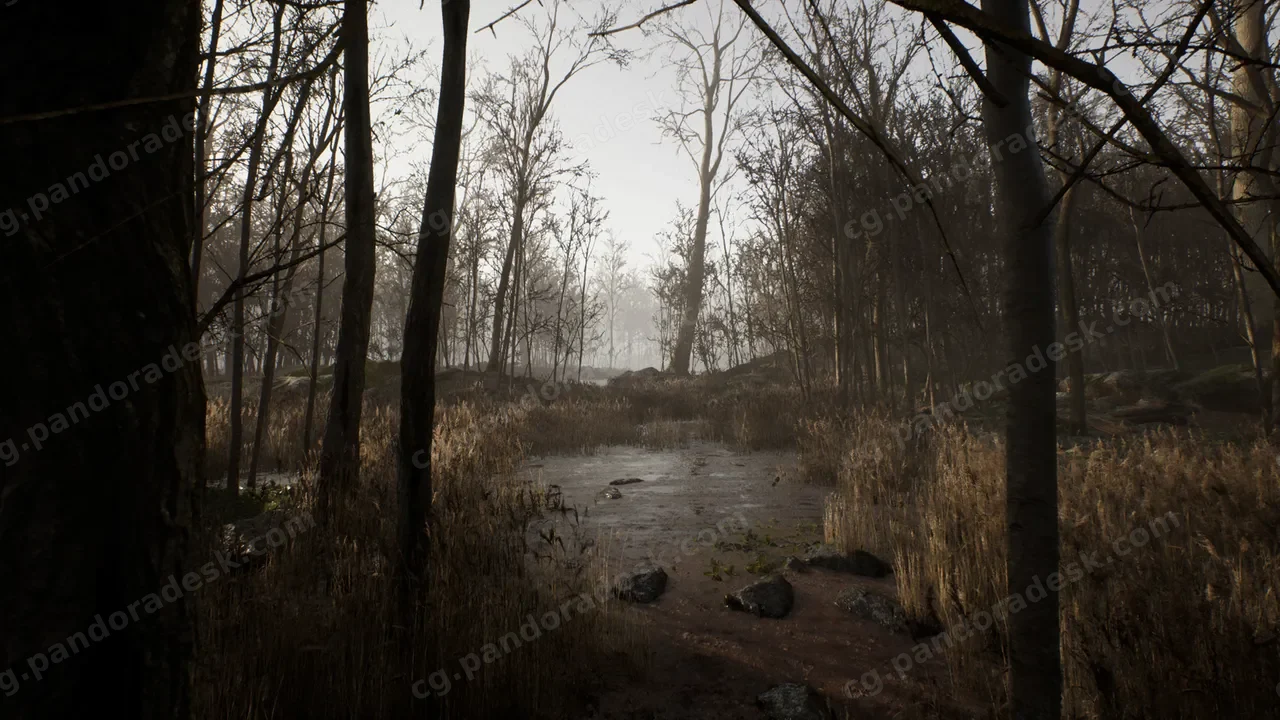 枯木森林-Procedural Forest